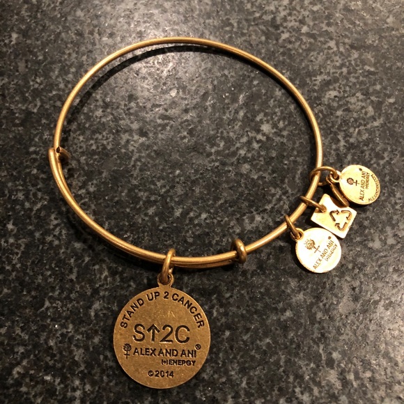 NWT Alex and Ani “Stand Up to Cancer” Bracelet - Picture 2 of 2